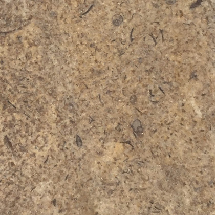 chocolate honed limstone